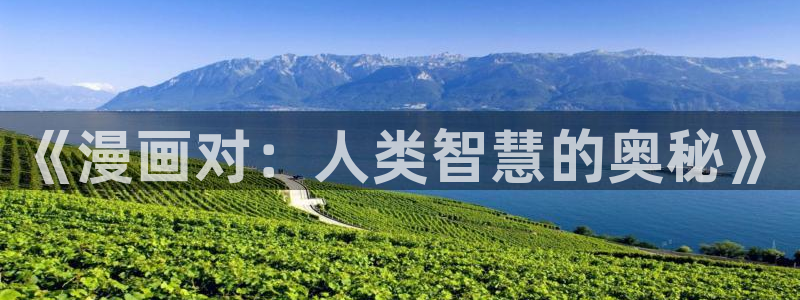 漫蛙网页版在线