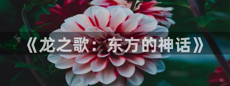 大陆地区2:漫蛙2025