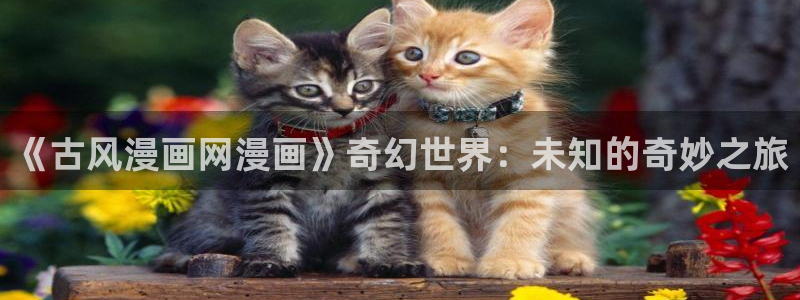 漫蛙manwa漫画在线