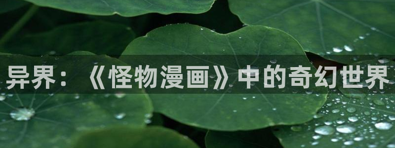 漫蛙漫画网页版直接进入