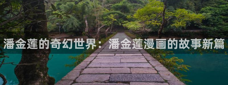 漫蛙进入