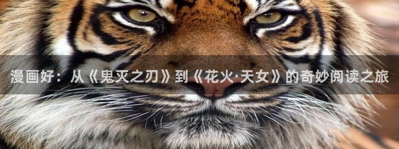 动漫蛙
