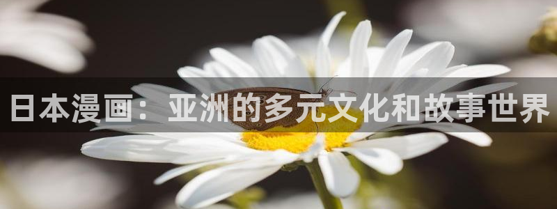 漫蛙2漫画下载正版