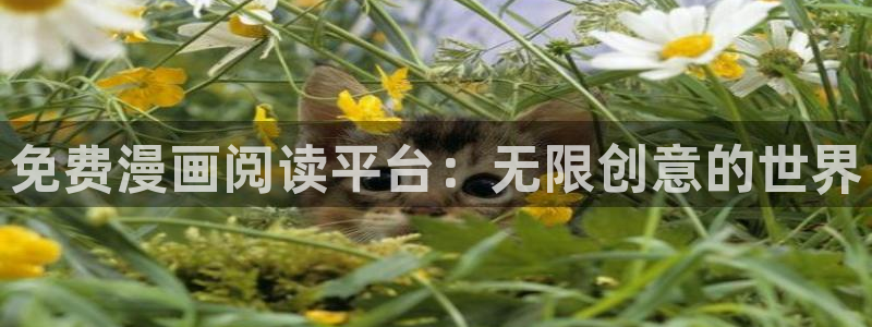 漫蛙3网址