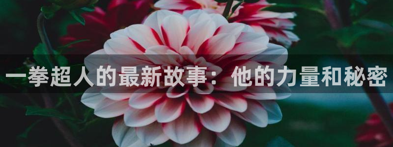 漫蛙漫画官方页面免费漫画入口