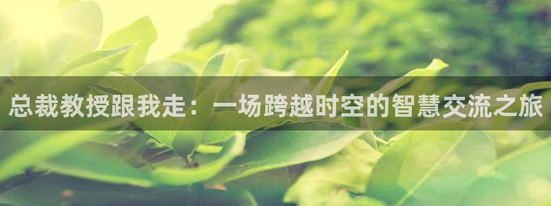 漫蛙登录账号