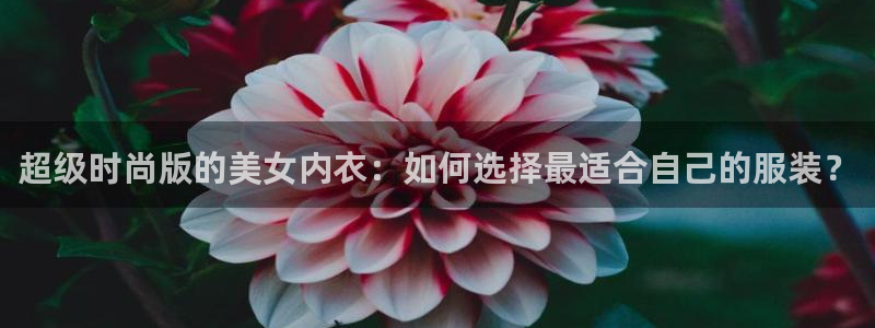 漫蛙app下载网站