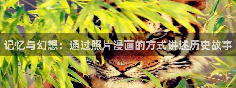 书呆子计划漫蛙