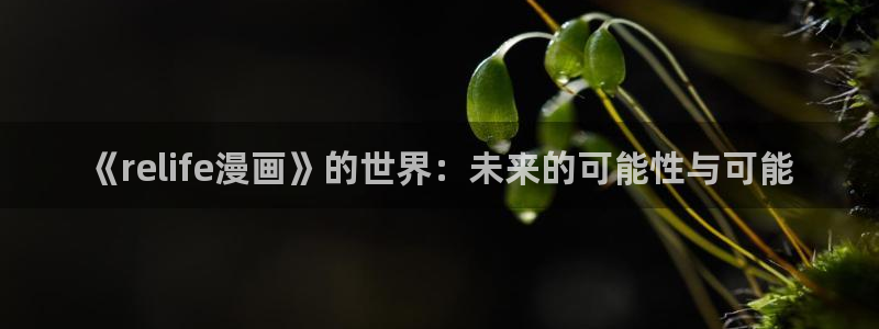 漫蛙2.apk