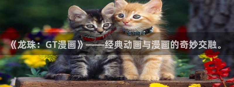 https漫蛙官方网页正版