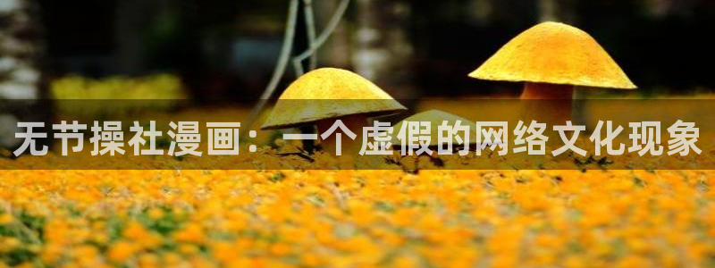 漫蛙漫画怎么下载漫画