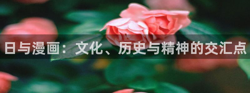 漫蛙网页免费进入