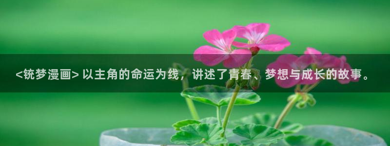 漫蛙2app下载入口