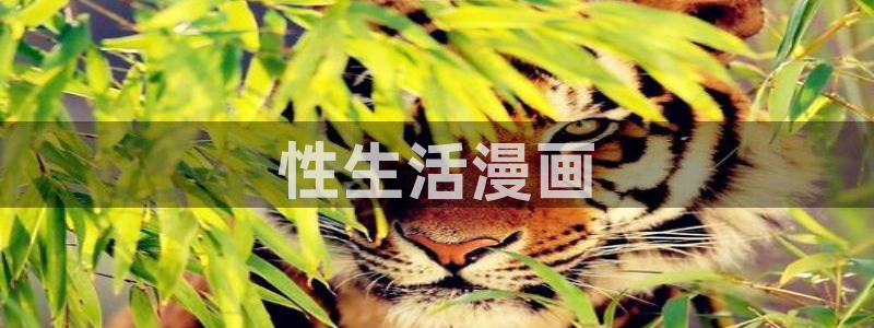 漫蛙漫画下载