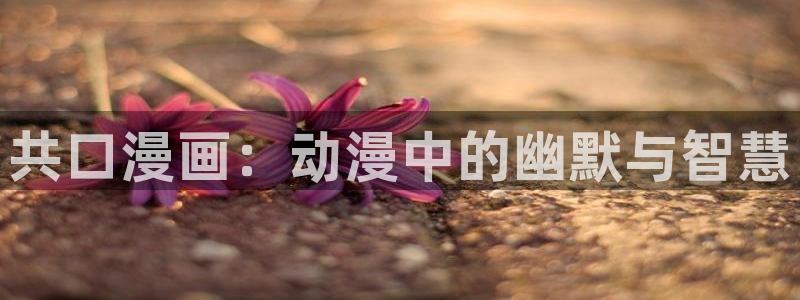漫蛙漫画 网页