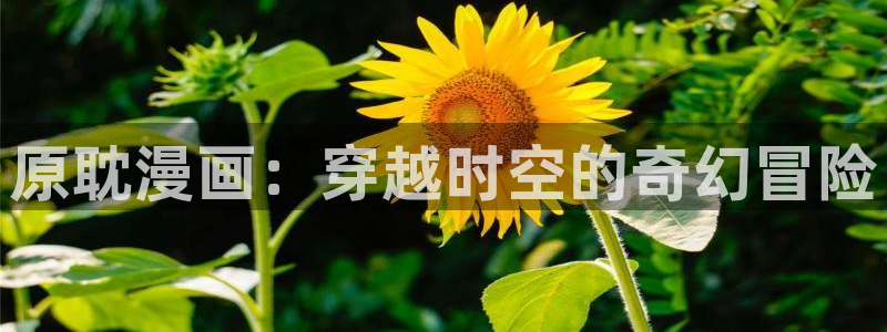 漫蛙放走失