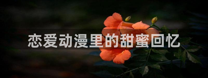 怎样下载漫蛙