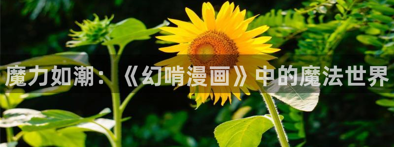 漫蛙里：魔力如潮：《幻啃漫画》中的魔法世界