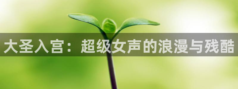 漫蛙官网下载app