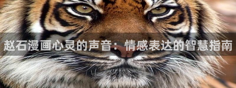 漫蛙ios安装包