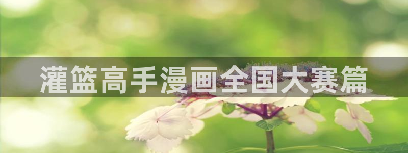 漫蛙正版界面入口