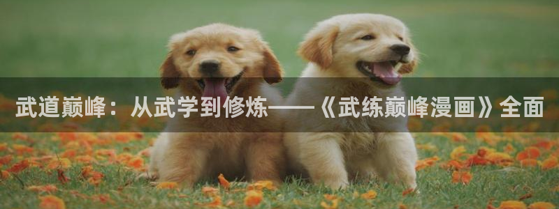 www.漫蛙漫画com.