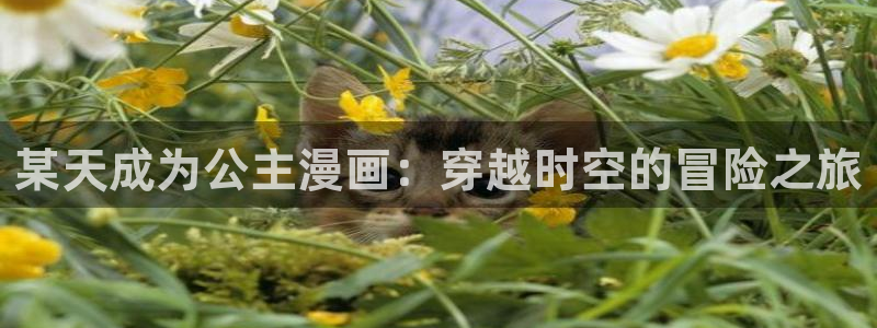 漫蛙2漫画(网页入口)直接进入
