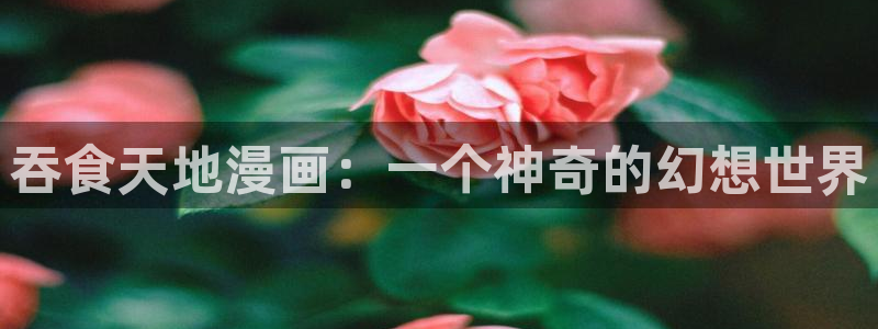 漫蛙漫画登录入口