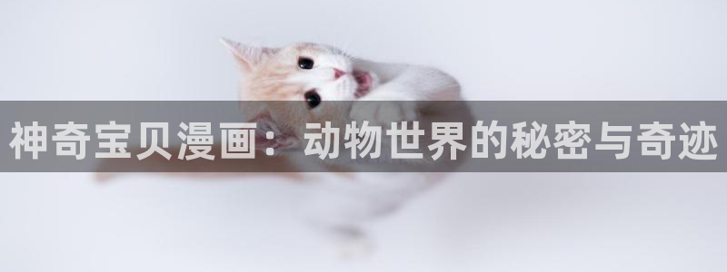 漫蛙漫画(www.dhabc.nt) sitemap：神奇宝贝漫画：动物世界的秘密与奇迹