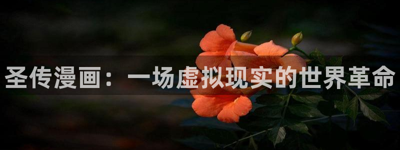 漫蛙2无广告：圣传漫画：一场虚拟现实的世界革命