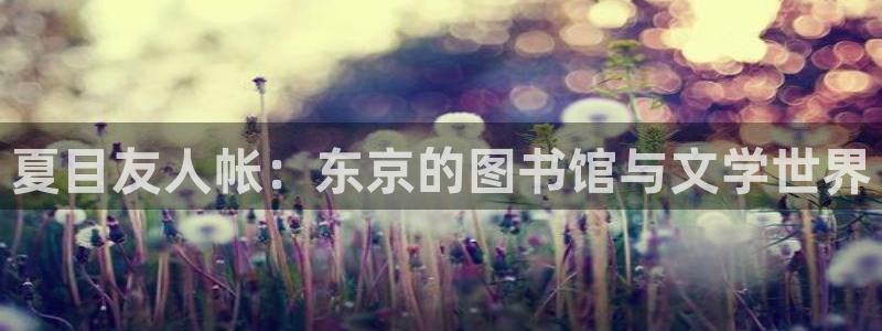 漫蛙manwa正版：夏目友人帐：东京的图书馆与文学世界