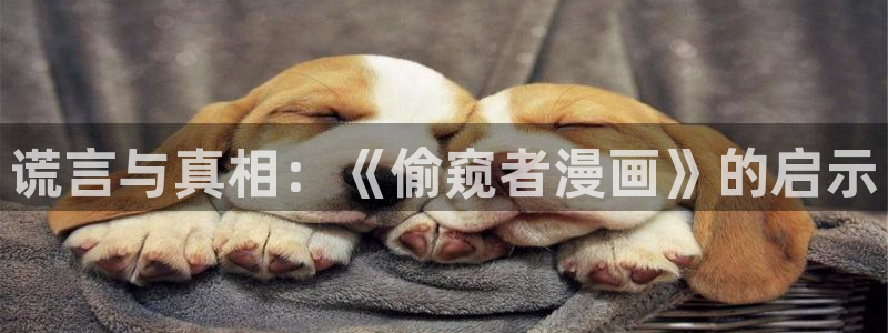 漫蛙漫画官网入口漫画在线manwa：谎言与真相：《偷窥者漫画》的启示