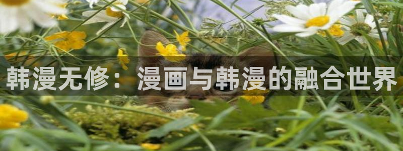 漫蛙的下载链接是什么：韩漫无修：漫画与韩漫的融合世界