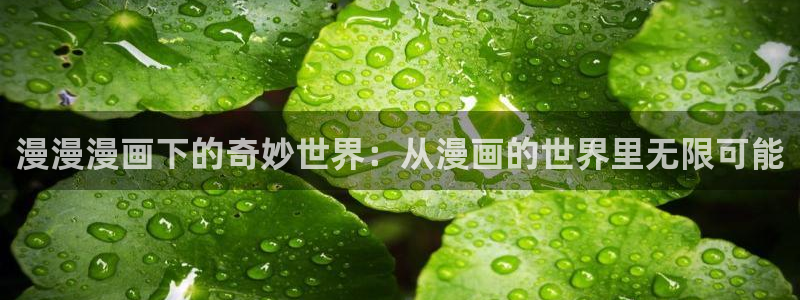 漫蛙站：漫漫漫画下的奇妙世界：从漫画的世界里无限可能