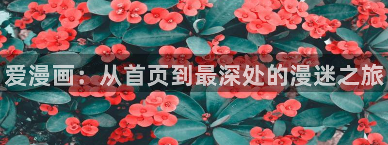 漫蛙ios网址：爱漫画：从首页到最深处的漫迷之旅