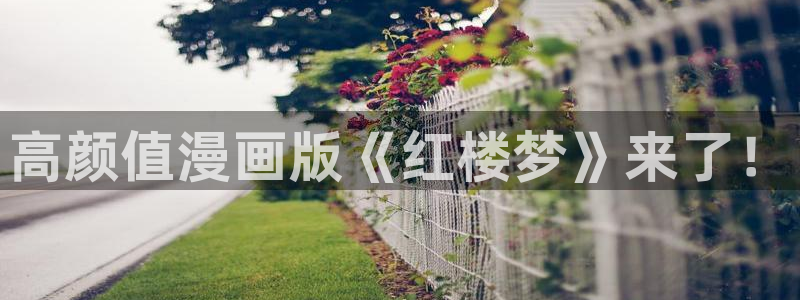 漫蛙manwa2漫画入口：高颜值漫画版《红楼梦》来了！